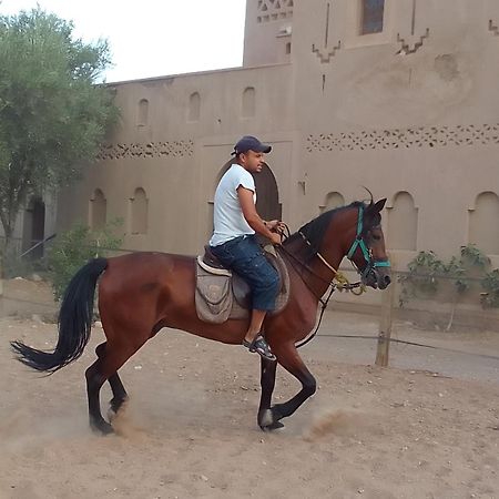 ホテル Kasbah Dar Dmana スコーラ エクステリア 写真