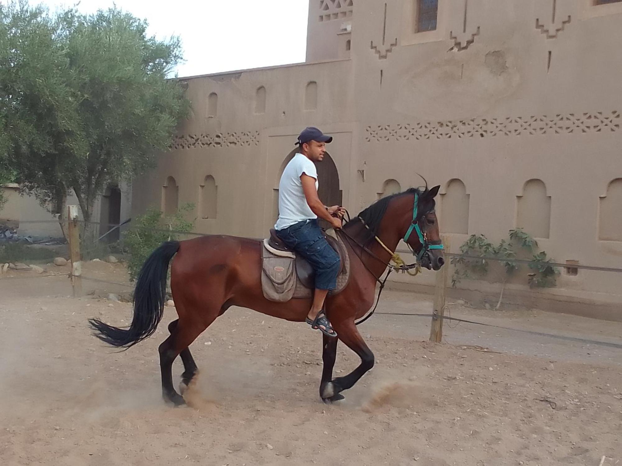 ホテル Kasbah Dar Dmana スコーラ エクステリア 写真